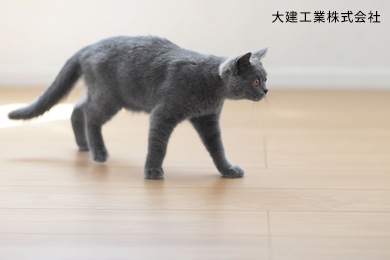 耐水性・抗菌性を備えた「高機能床材」