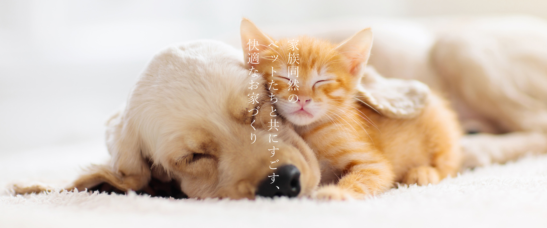 家族同然のペットたちと共にすごす、快適なお家づくり