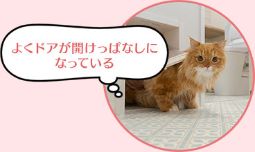 よくドアが開けっぱなしになっている