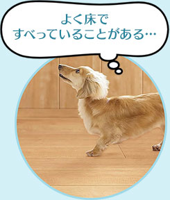 よく床ですべっていることがある…