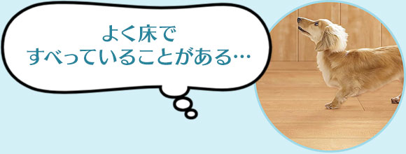 よく床ですべっていることがある…