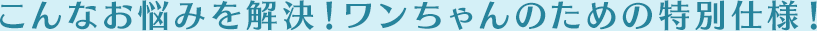 こんなお悩みを解決！ワンちゃんのための特別仕様！